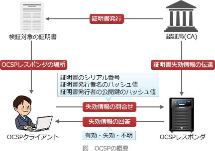 38.png/image-size:432×305