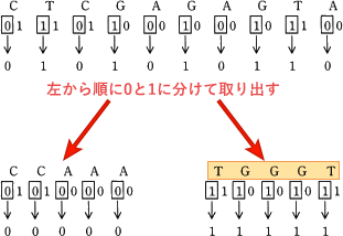 pm03_5.png/image-size:311×214